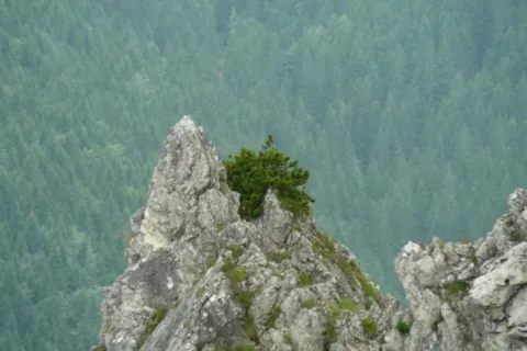 Widok z Sarniej Skały