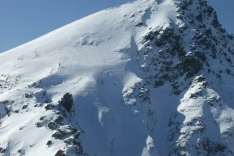 Placlivo