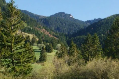 Maly Ostry grun Biela skala Palenica
