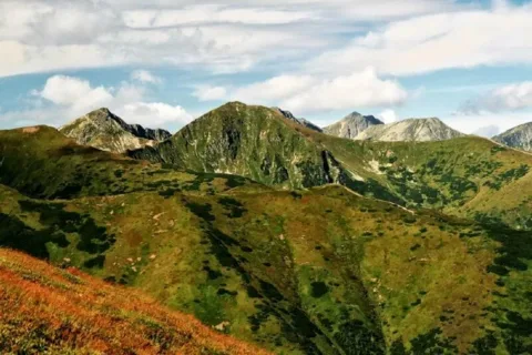 w porannym słońcu