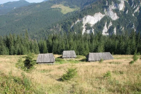 Hala Stoły