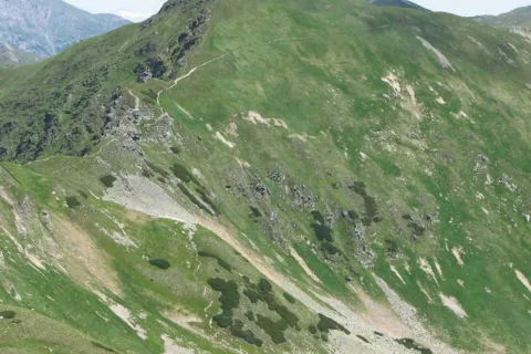 Łopata z Wołowca