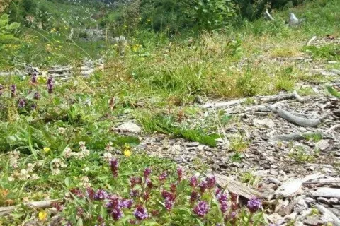 v Kotline pod Ciernymi stenami