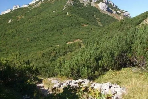 Sivo_Sivy vrch spod Maleho Ostreho