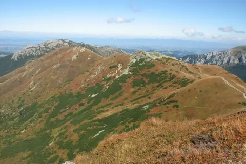 Ornak