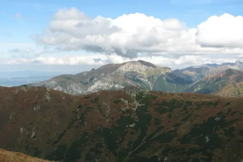 Ornak