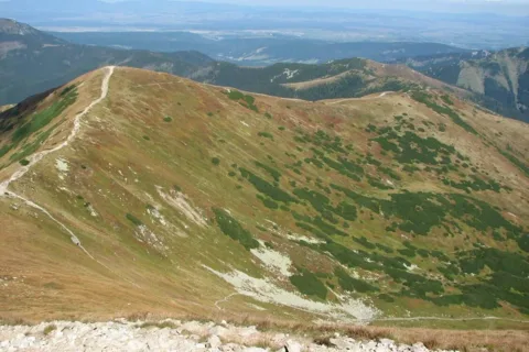 w kierunku Rakonia i Grzesia