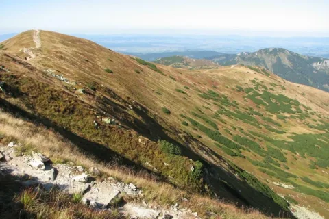 w stronę Rakonia i Grzesia