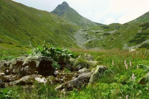 V Niznej Jamnickej kotline _Grun nad plesami_ Ostry Rohac