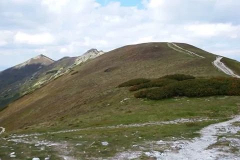 Ornak