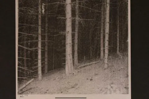 Wernisaż wystawy fotografii Yurija Kovalchyka, pt. Moje Karpaty
