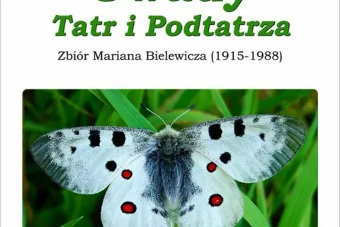 Owady Tatr i Podtatrza. Zbiór Mariana Bielewicza