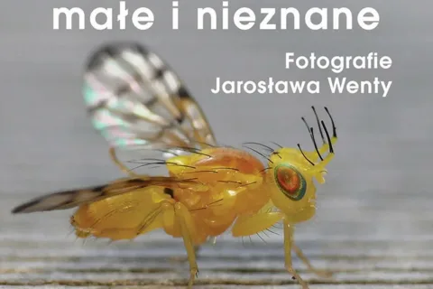 ZWIERZĘTA MAŁE I NIEZNANE. FOTOGRAFIE JAROSŁAWA WENTY