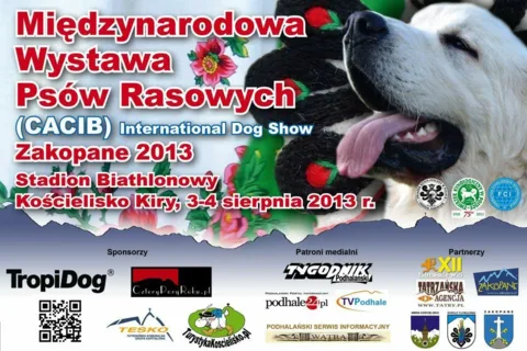 Międzynarodowa Wystawa Psów Rasowych