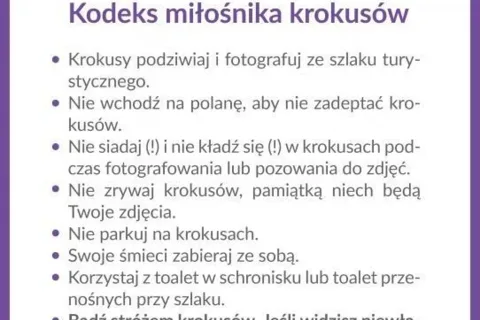 Bądź opiekunem krokusów