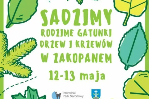Sadzimy rodzime gatunki drzew w Zakopanem