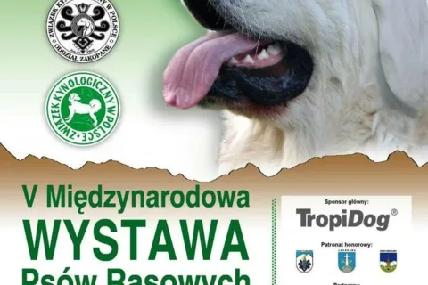 V Międzynarodowa WYSTAWA Psów Rasowych
