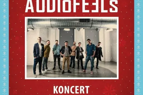 Koncert zespołu AudioFeels