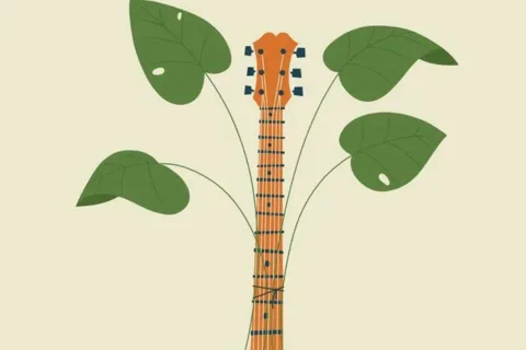Kościelisko Music Trail Festival - na szlaku...