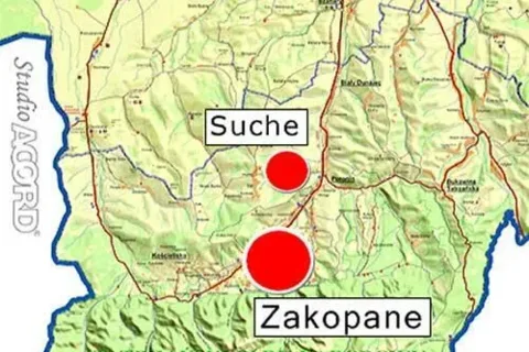 Suche