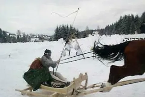 Ścigali się koniarze