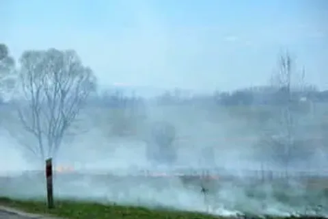 To niszczenie przyrody