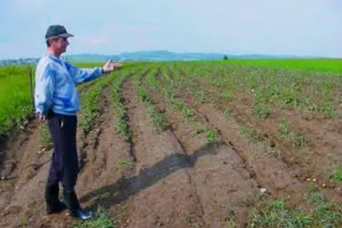 Ponad 100 tys. zł strat w uprawach
