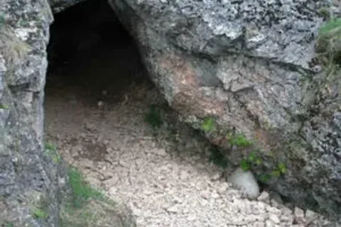Powrót naukowców - dopiero za rok