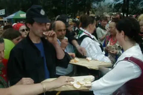 Sprzedaż bryndzy bez zmian