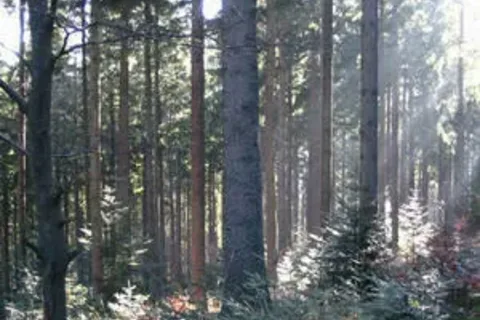 Natura - zatwierdzona