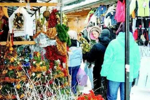 Żywa choinka wraca do łask