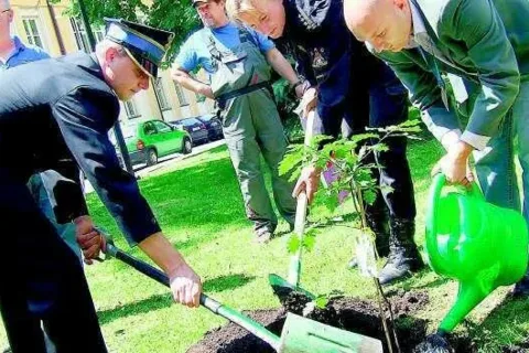 Dwa Dęby Pamięci Jana Pawła II zasadzono na placu Słowackiego i na Rynku