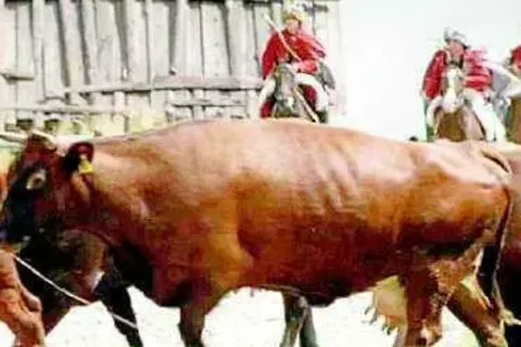 Janosik nie okradał bogatych, tylko doił kasę z Unii