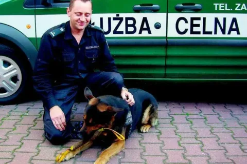 Pies do zadań specjalnych