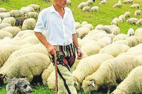 Bacowie chcą egzaminu z wyrabiania oscypka