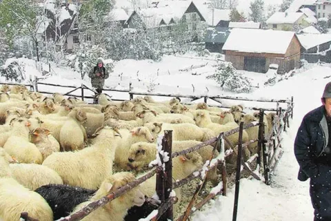Zima nadal nie odpuszcza. Małopolska walczy ze śniegiem, deszczem i zimnem