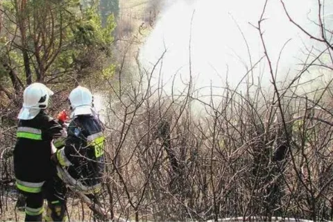 O włos od tragedii przez ludzką głupotę