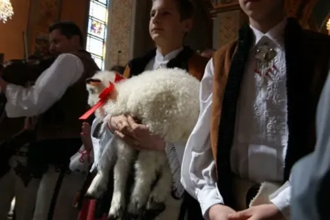Święto Bacowskie w Ludźmierzu [zdjęcia!]
