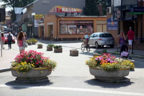 Miasto kwitnie