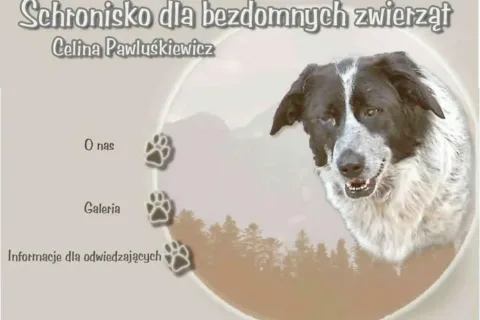 Nowy Targ: Światowy Tydzień Zwierząt