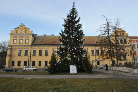 Bukowiańska choinka zabłyśnie pod Oknem Papieskim