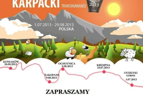 1 LIPCA RUSZA REDYK KARPACKI W POLSCE!