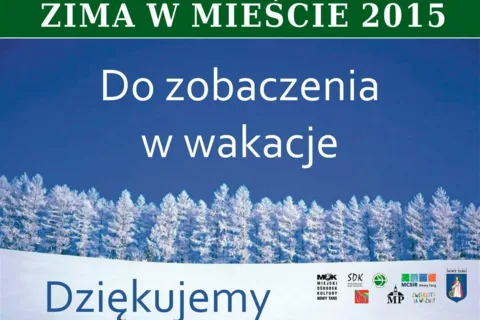 Zima w mieście 2015 podsumowanie