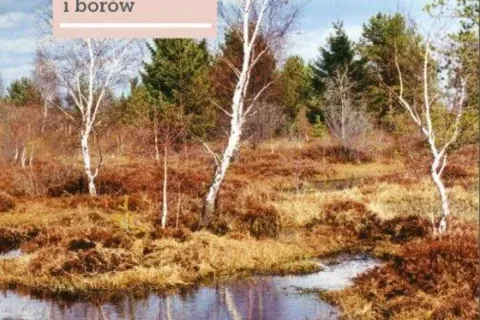 W krainie mszarów i borów