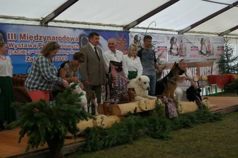 III Międzynarodowa Wystaw Psów Rasowych