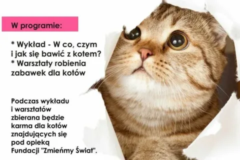 Światowy Dzień Kota