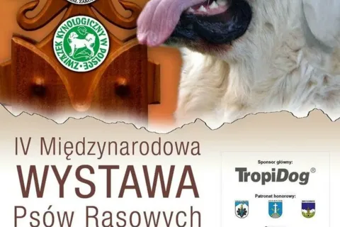 Międzynarodowa Wystawa Psów Rasowych