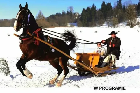 XXII Parada Gazdowska - Biały Dunajec, 19 lutego 2017 r.