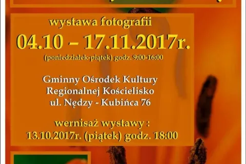 Botaniczne uroki Kościeliska w obiektywie Andrzeja Gibały