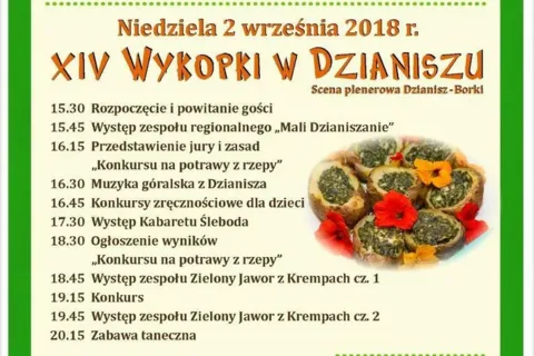 XIV WYKOPKI W DZIANISZU